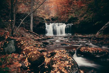 Autumn waterfalls clipart