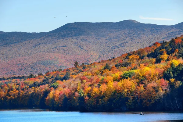 Lake herfst bladeren — Stockfoto