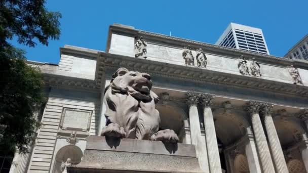 New York City Usa Juli 2019 Lion Statue Närbild Framför — Stockvideo