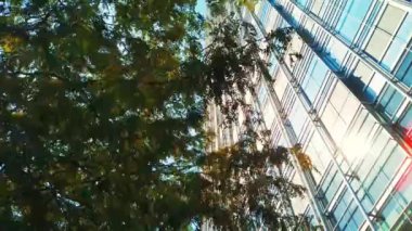 Güneşli bir günde ağaç manzaralı ofis binası