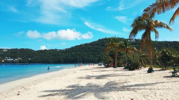 Hermosa Vista Playa Santo Tomás Islas Vírgenes Concepto Viaje — Vídeos de Stock