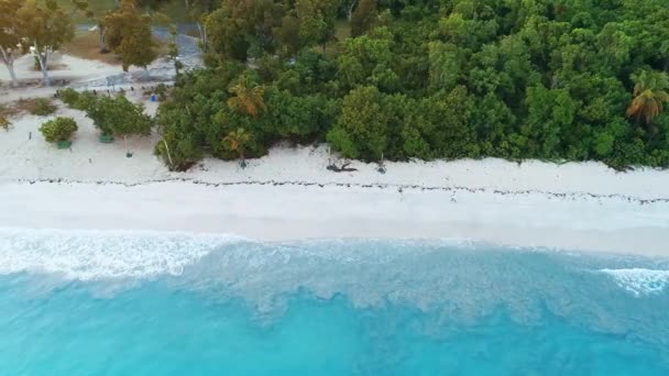Вид Воздуха Пляж Сент Томас Виргинские Острова — стоковое видео