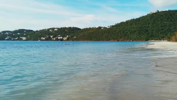 Hermosa Vista Playa Santo Tomás Islas Vírgenes Concepto Viaje — Vídeo de stock