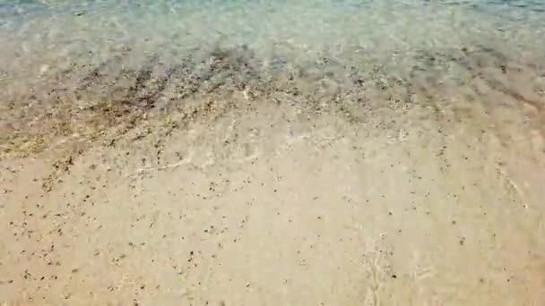 Bella Vista Sulla Spiaggia San Tommaso Nelle Isole Vergini Concetto — Video Stock