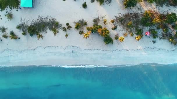Вид Повітря Пляж Сент Томас Віргінські Острови — стокове відео