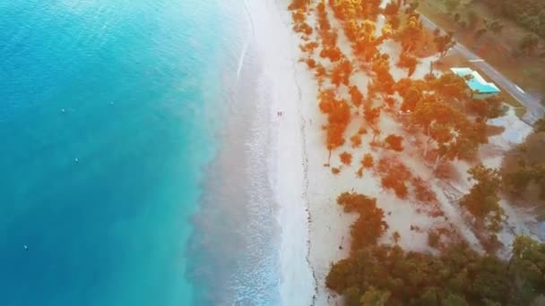 Aerial View Thomas Beach Virgin Islands — Stock Video