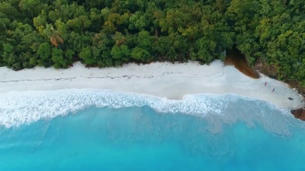 Vue Aérienne Plage Thomas Îles Vierges — Video