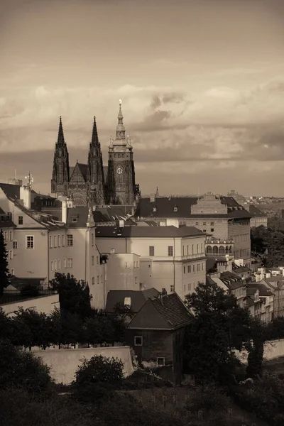 Prague Castle Saint Vitus Cathedral Czech Republic — Stock Photo, Image