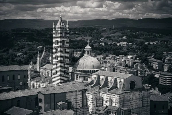 Talya Siena Katedrali Ufuk Çizgisi Manzaralı Ortaçağ Kasabası — Stok fotoğraf