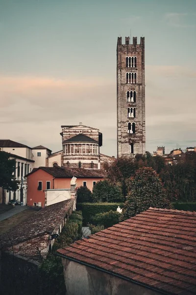 Basiliek Van San Frediano Lucca Met Historische Gebouwen Schemering Italië — Stockfoto