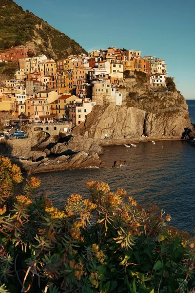 Manarola Kijkt Uit Middellandse Zee Met Gebouwen Boven Klif Cinque — Stockfoto