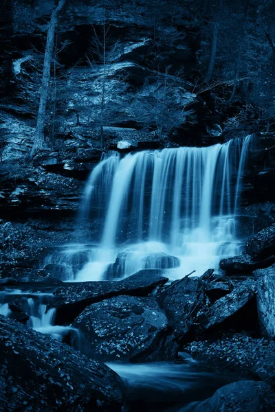 黒と白の森の滝 — ストック写真