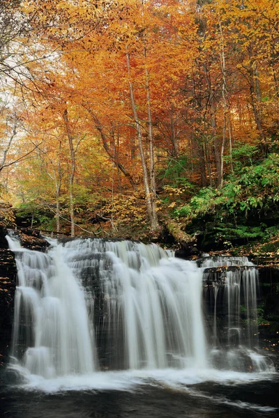 Cascadas Otoño Parque Con Follaje Colorido — Foto de Stock