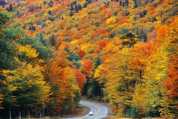 Highway Και Φθινόπωρο Φύλλωμα Στο White Mountain New Hampshire — Φωτογραφία Αρχείου