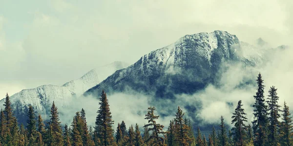 班夫国家公园俯瞰加拿大多雾山区和森林的全景 — 图库照片