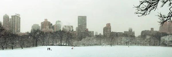 Χειμώνας Central Park Στο Χιόνι Ουρανοξύστες Στο Κέντρο Του Μανχάταν — Φωτογραφία Αρχείου