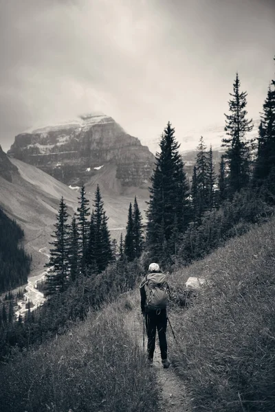 Una Excursionista Femenina Banff Vista Parque Nacional Con Montañas Bosques —  Fotos de Stock