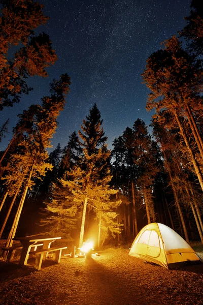 Camping in forest with stars and bonfire in Banff National Park in Canada