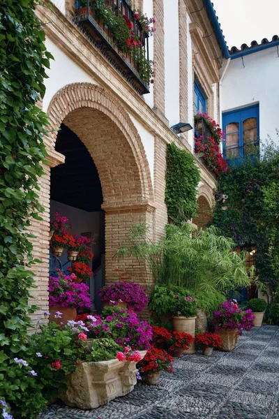 Bella Decorazione Floreale Della Casa Residente Cordoba Spagna — Foto Stock