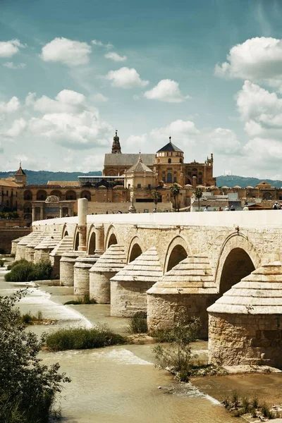 Meczet Katedra Starożytny Most Panorama Miasta Kordoba Hiszpanii — Zdjęcie stockowe