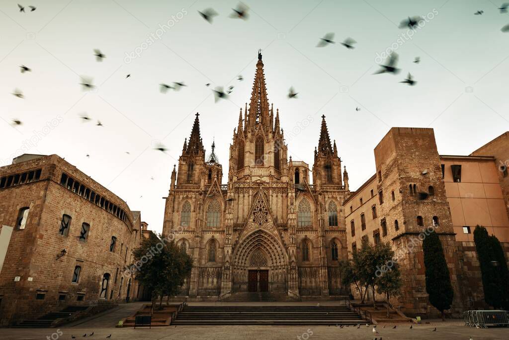 Pigeon and Barcelona Cathedral in Gothic Quarter in Barcelona Spain