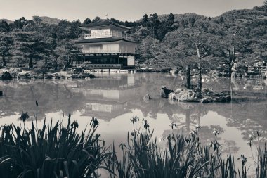 Kyoto, Japonya 'daki tarihi yapısına sahip Kinkaku-ji tapınağı..
