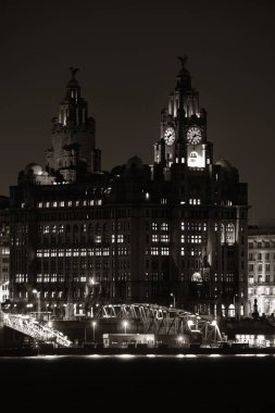 Liverpool Kraliyet Liver Binası İngiltere 'de binaları olan bir gece.