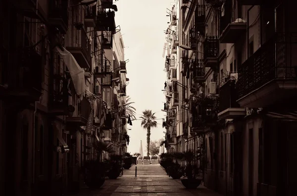 Vista Calle Árbol Solitario Barcelona España — Foto de Stock