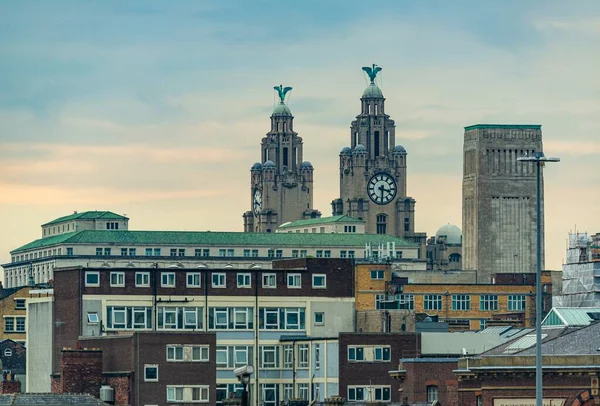 Ливерпульский Городской Пейзаж Зданиями Англии Великобритании — стоковое фото