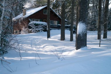 Dumanlar bir günlük kabin içinde belgili tanımlık kış