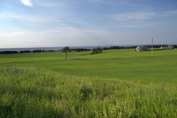 Pei Landbouwgrond Met Huis Schuur Achtergrond — Stockfoto