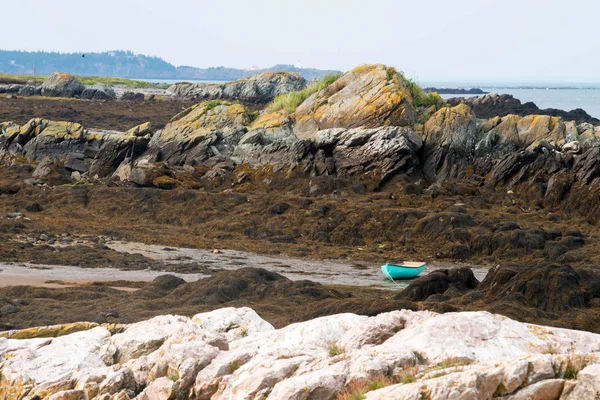 Green Dory Varado Marea Baja Woodward Cove Grand Manan — Foto de Stock