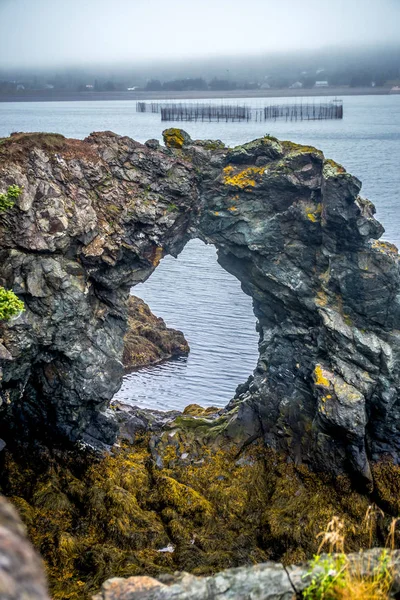 Whale Cove Wall — Foto de Stock