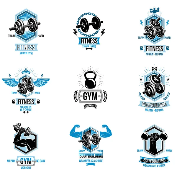 체육관 Logotypes 디스크 스포츠 실루엣을 포스터의 — 스톡 벡터