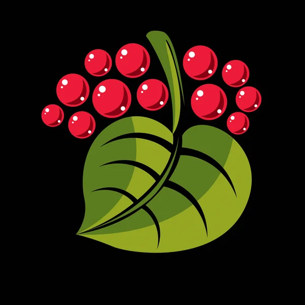 赤い果実や種子 植物とハーブ デザイン要素ツリーの葉を様式化されました — ストックベクタ