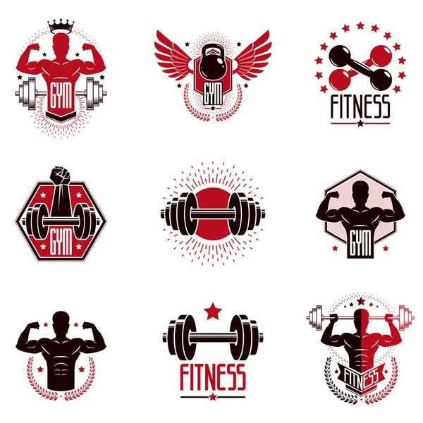 Ginásio Levantamento Peso Fitness Clube Esportes Logotipos Retro Emblemas Vetoriais —  Vetores de Stock