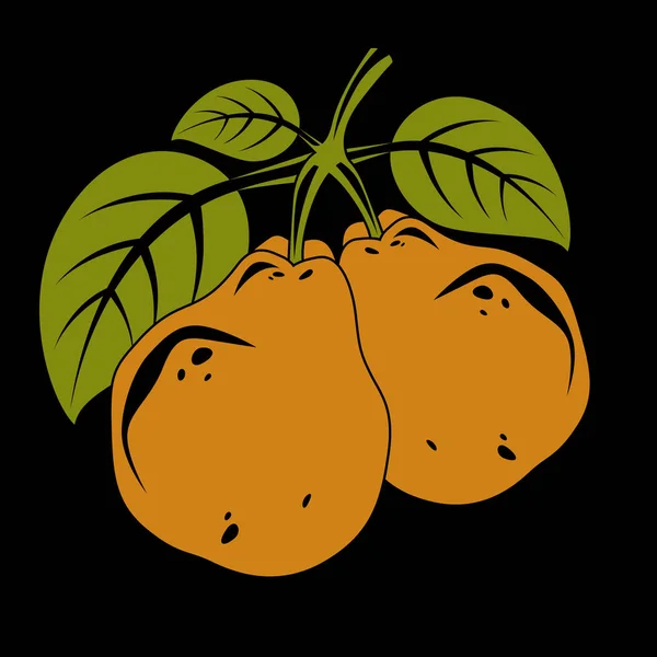 Símbolo Cosecha Frutas Vectoriales Aisladas Dos Peras Naranja Dulce Orgánica — Archivo Imágenes Vectoriales