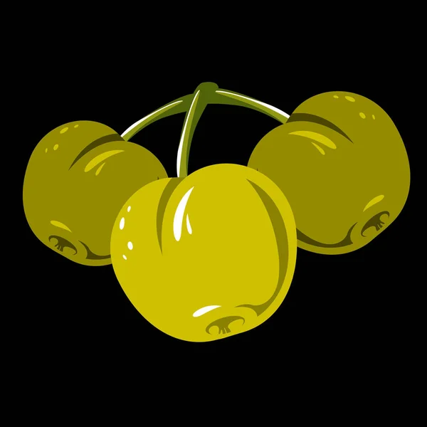 Símbolo Cosecha Frutas Vectoriales Aisladas Manzanas Verdes Dulces Orgánicas Maduras — Vector de stock