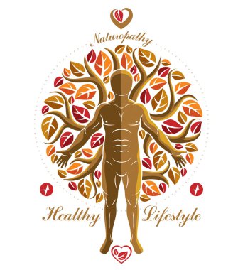 Atletik insanın sonbahar ağacının devamı olarak yaratılmış vektör çizimi. İnsan ve doğa uyum metaforu, naturopati..