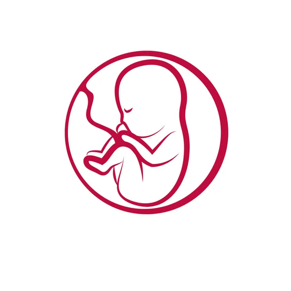 Embryo Vectorillustratie Geïsoleerd Wit Nieuw Leven Begin Tekening — Stockvector