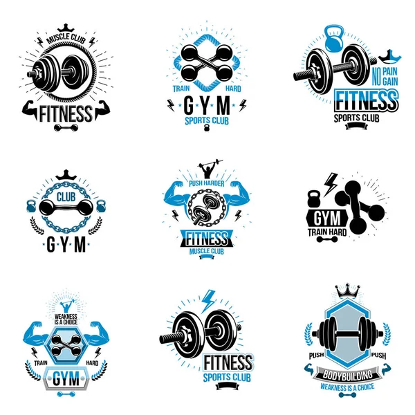 Conjunto Ejercicios Fitness Vectorial Tema Del Gimnasio Levantamiento Pesas Logotipos — Vector de stock