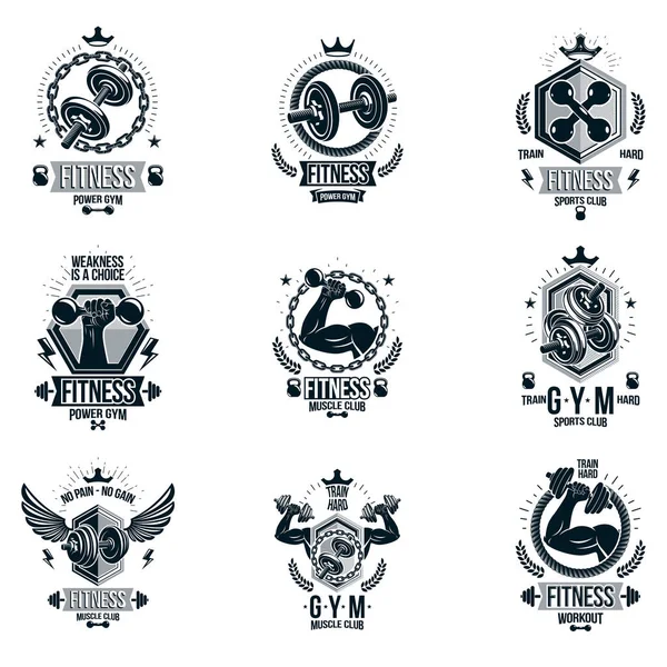 Logotipos Tema Elevación Potencia Carga Pesada Vectorial Colección Volantes Publicitarios — Vector de stock