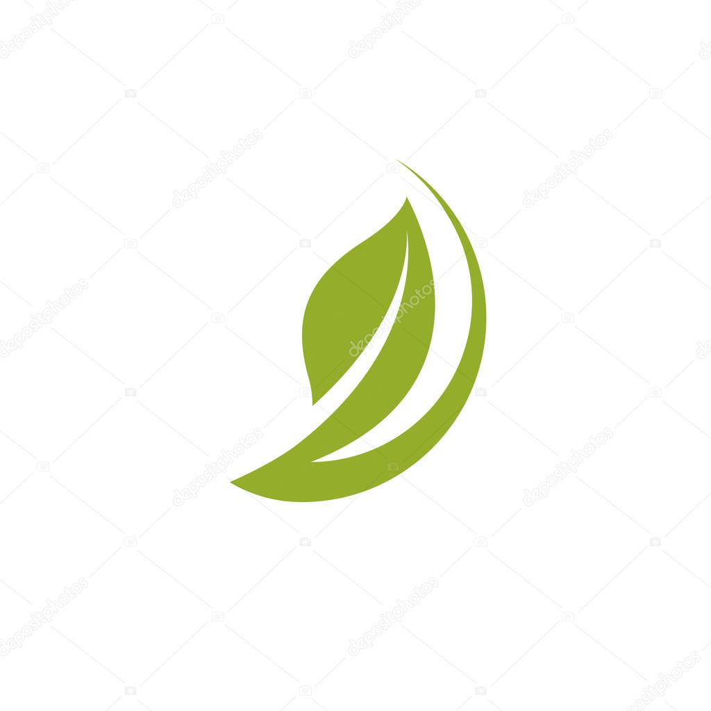 Vector spring leaves vector illustration. Alternative medicine concept, phytotherapy logo.