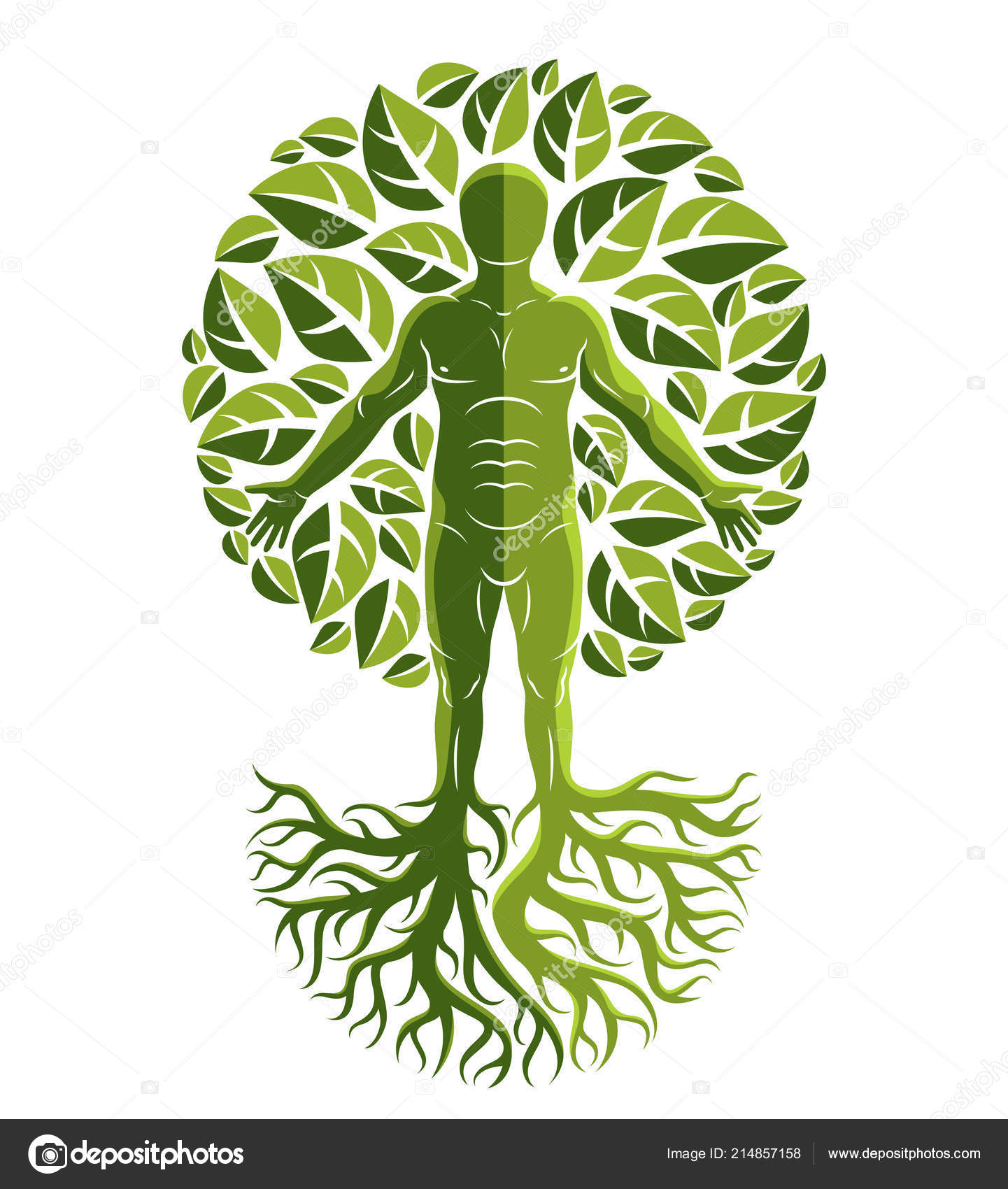 Man Tree Strong Roots Surrounded Eco Green Leaves Stock Vector Image By C Ostapius