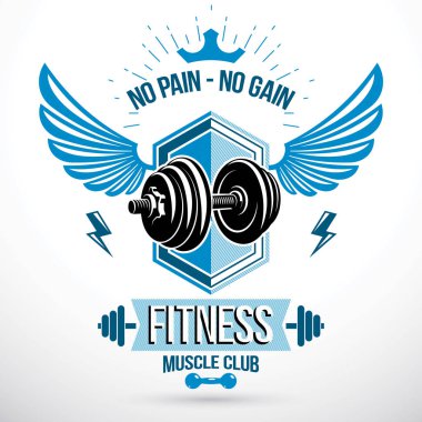 Vektör grafik işareti oluşan kanatlar kuş disk ağırlık dambıl kullanarak ve yıldırım thunder. Fitness Egzersiz kavramsal amblemi