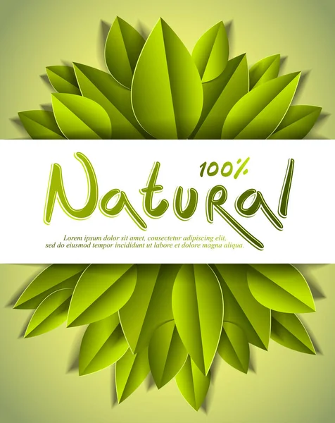 100 Натуральна Картка Свіжим Зеленим Листям Рекламний Банер Векторний Дизайн — стоковий вектор