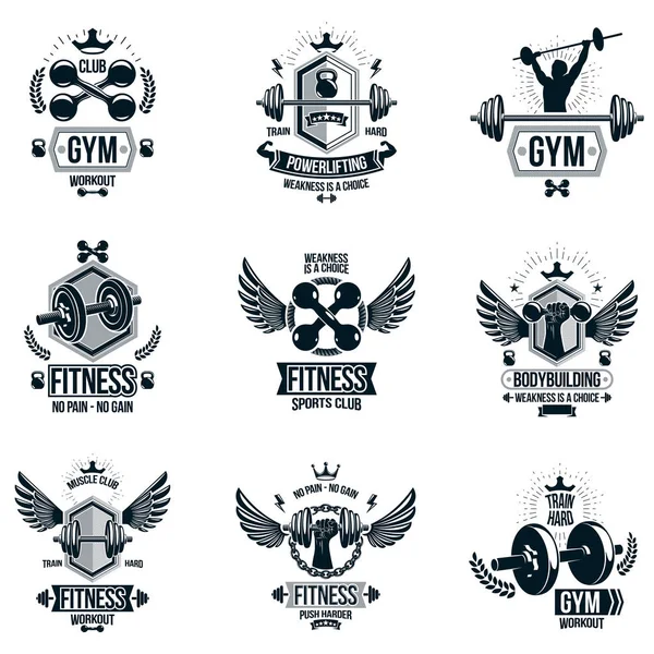 Set Van Vector Gym Thema Emblemen Motiverende Spandoeken Samengesteld Met — Stockvector