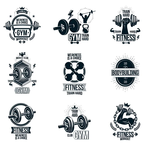 Vector Weightlifting Theic Logotype Increative Leaflets Collection Made Using Dumbbell — 스톡 벡터