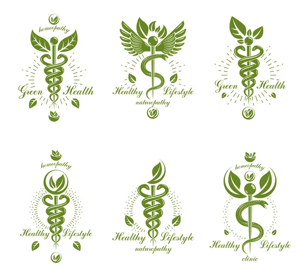 Coleção Logotipos Caduceus Compostos Por Cobras Venenosas Asas Aves Ilustrações —  Vetores de Stock