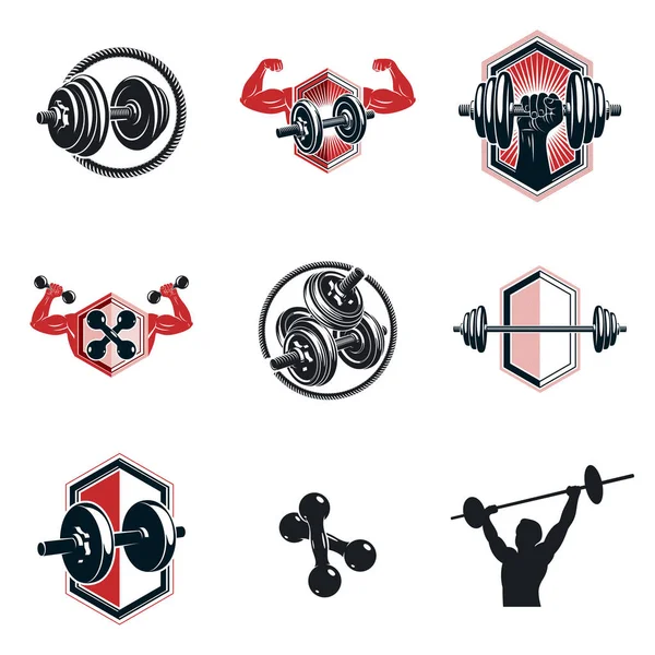 Colección Ilustraciones Temáticas Entrenamiento Fitness Vectorial Creada Con Pesas Pesas — Archivo Imágenes Vectoriales